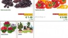 Lidl akcija od ponedeljka do srede 28. 1.