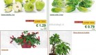Lidl akcija od ponedeljka do srede 4. 2.
