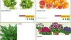 Lidl akcija od ponedeljka do srede 18. 2.