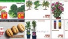 Lidl akcija od ponedeljka do srede 4. 3.