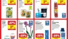 Hofer vikend akcija do 06. 01.