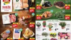 Lidl akcija Sveže za začetek tedna do 20. 4.
