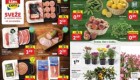 Lidl akcija Sveže za začetek tedna do 25. 5.