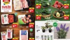 Lidl akcija Sveže za začetek tedna do 1. 6.