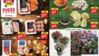 Lidl akcija Sveže za začetek tedna do 15. 6.