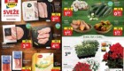 Lidl akcija Sveže za začetek tedna do 20. 7.