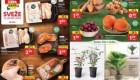 Lidl akcija Sveže za začetek tedna do 17. 8.