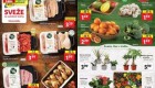 Lidl akcija Sveže za začetek tedna do 1. 2.