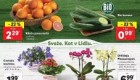 Lidl akcija Sveže za začetek tedna do 15. 2.