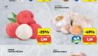 Hofer vikend akcija do 23.12.