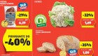Hofer vikend akcija 24.2.