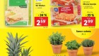Lidl super sobota 24.2.