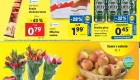 Lidl super sobota 23.3.